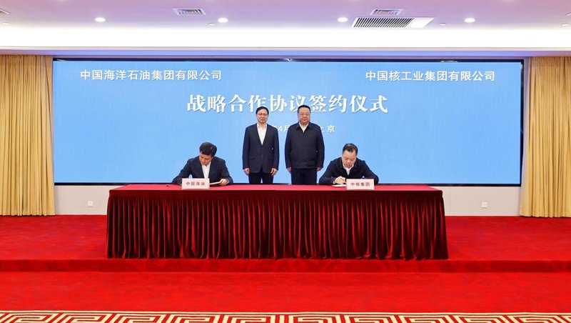 焦炭销售行业的市场洞察与战略案例分析